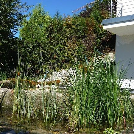 N1 Standalone House Baden Apartment Hertenstein Luaran gambar