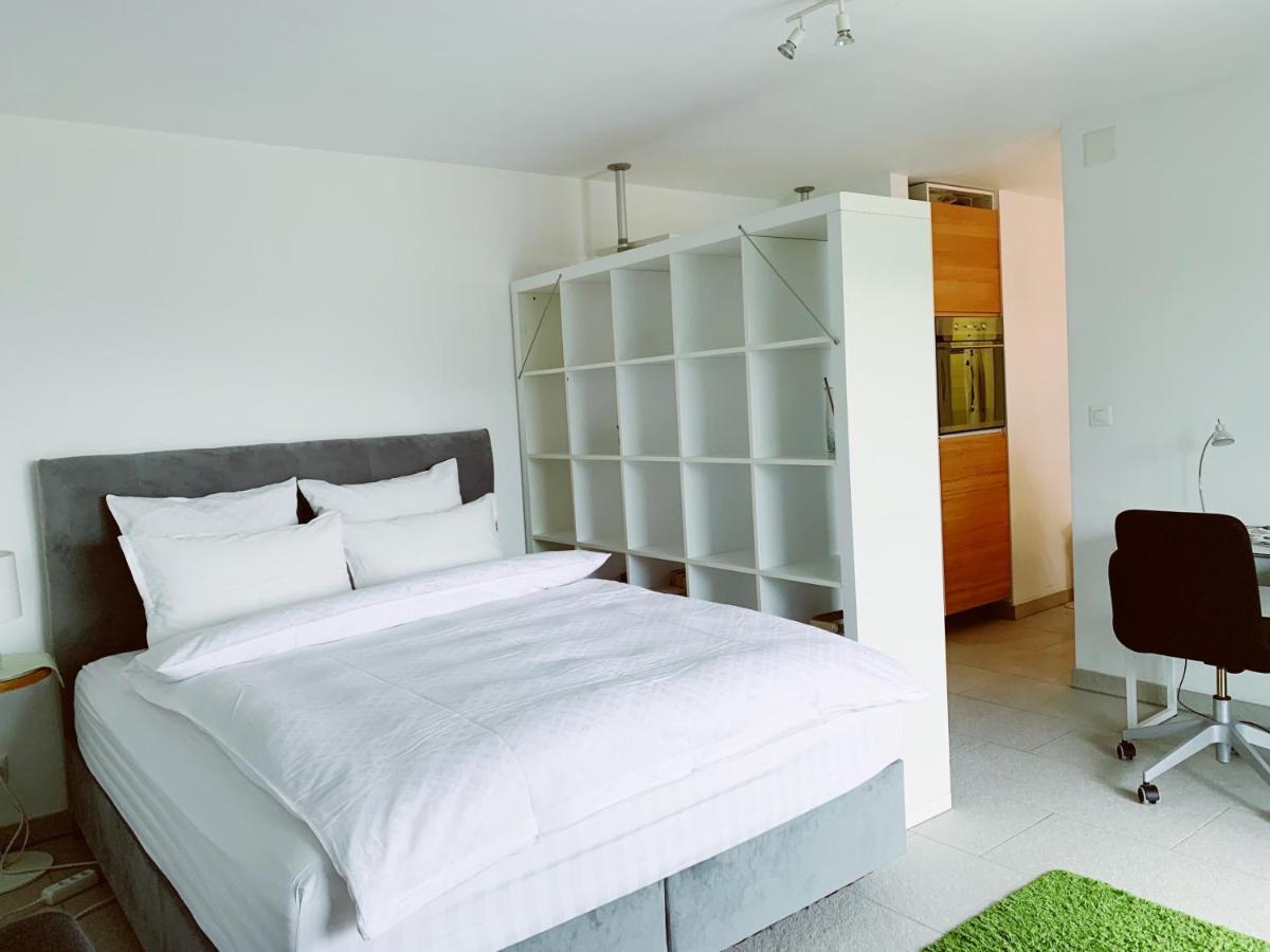 N1 Standalone House Baden Apartment Hertenstein Luaran gambar