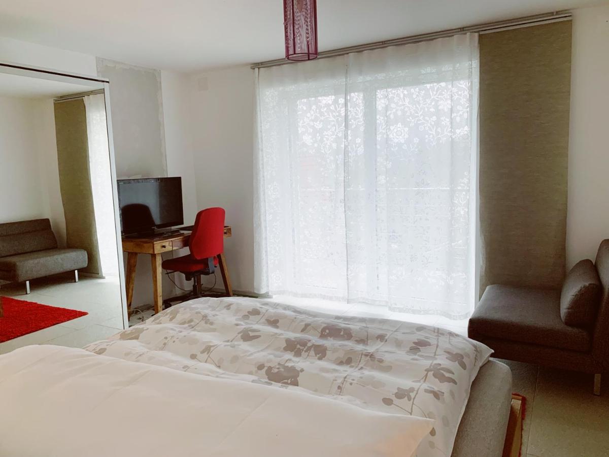 N1 Standalone House Baden Apartment Hertenstein Luaran gambar