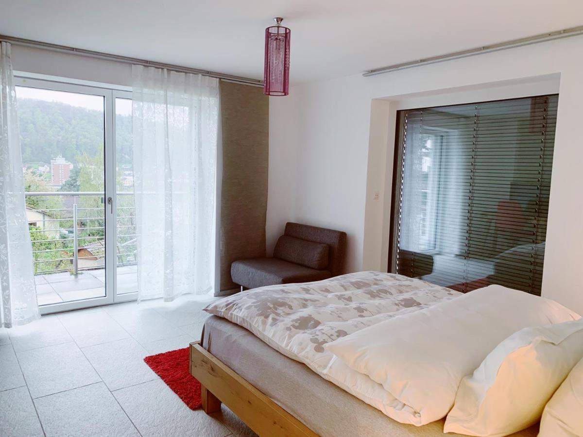 N1 Standalone House Baden Apartment Hertenstein Luaran gambar
