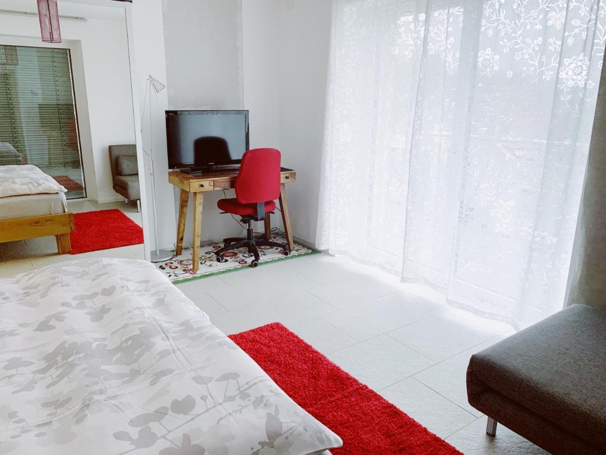 N1 Standalone House Baden Apartment Hertenstein Luaran gambar