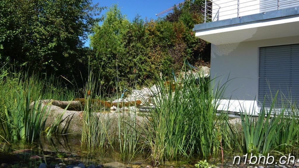 N1 Standalone House Baden Apartment Hertenstein Luaran gambar