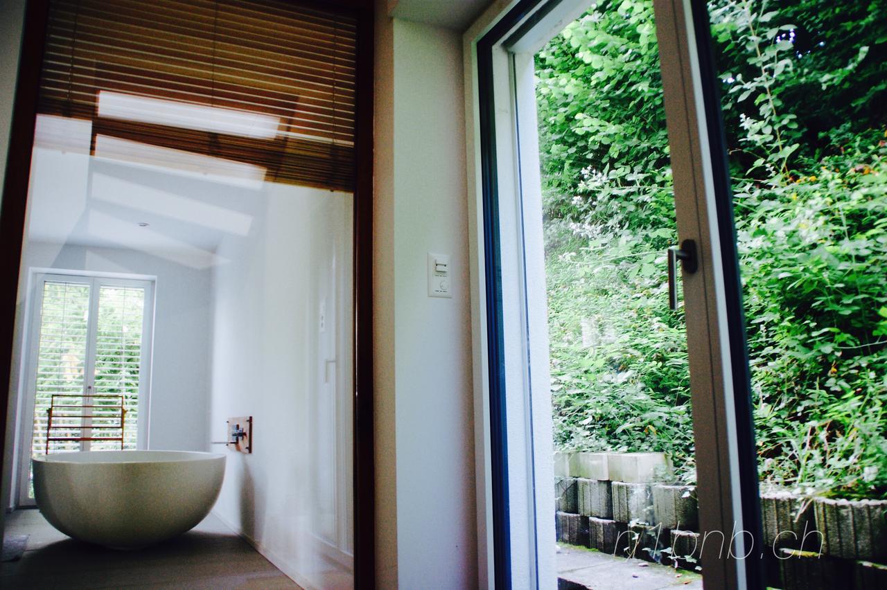 N1 Standalone House Baden Apartment Hertenstein Luaran gambar