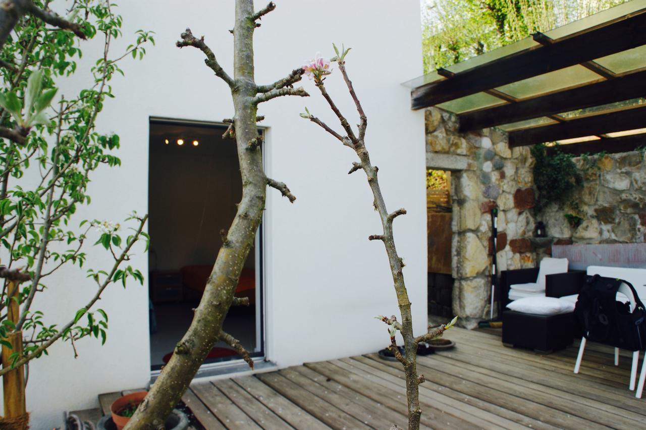 N1 Standalone House Baden Apartment Hertenstein Luaran gambar
